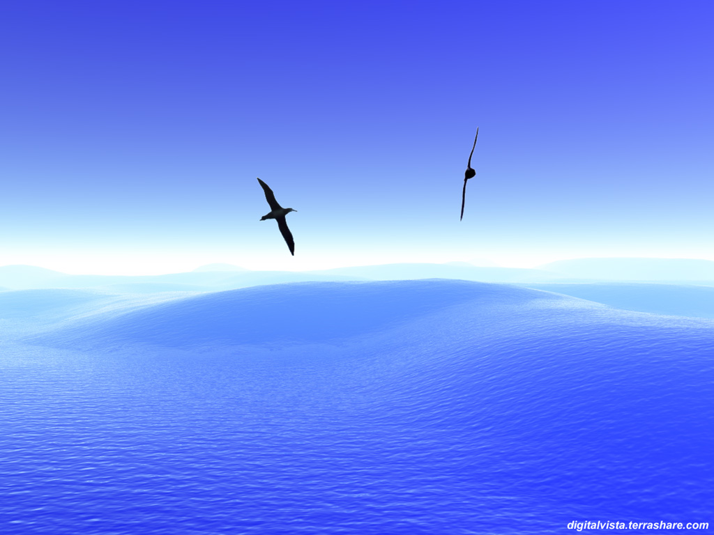 "" - Wallpaper No. 78 of 162. Right click for saving options.
